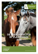Cover de paardensector in Vlaanderen 2020 