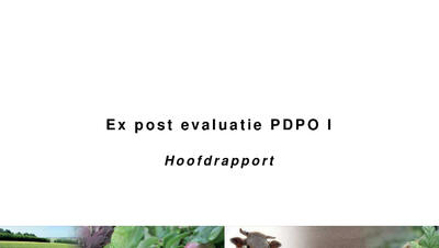 Cover rapport ex-post evaluatie van het PDPO-I