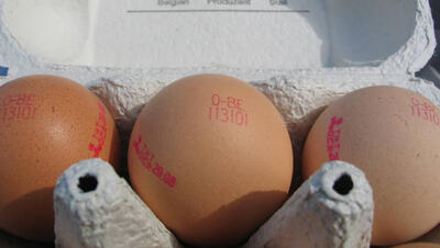 Biologische eieren met code