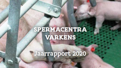 Cover Spermacentra varkens jaarrapport 2020