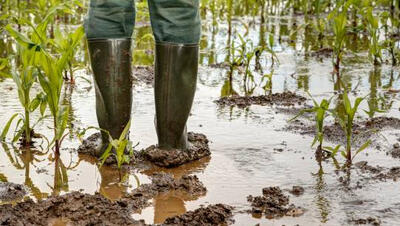 wateroverlast. Landbouwer met laarzen op het veld