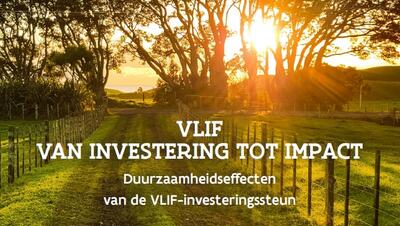 Cover rapport - VLIF: van investering tot impact